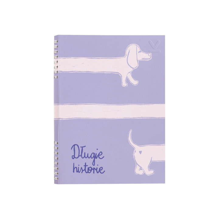 NOTES B5 DŁUGIE HISTORIE
